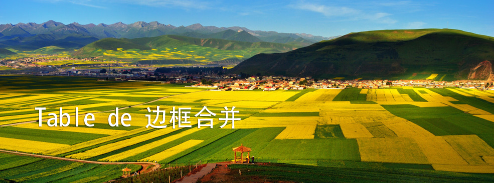 CSS属性 table 的 border-collapse 边框合并