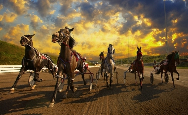 Backstretch Errot: has no method ‘backstretch’